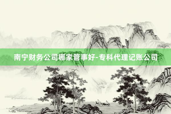 南宁财务公司哪家管事好-专科代理记账公司