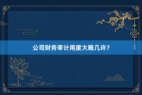 公司财务审计用度大略几许？