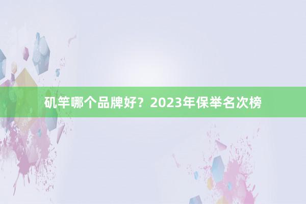 矶竿哪个品牌好？2023年保举名次榜